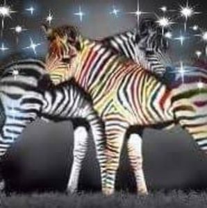 Meet your Posher, Jennie